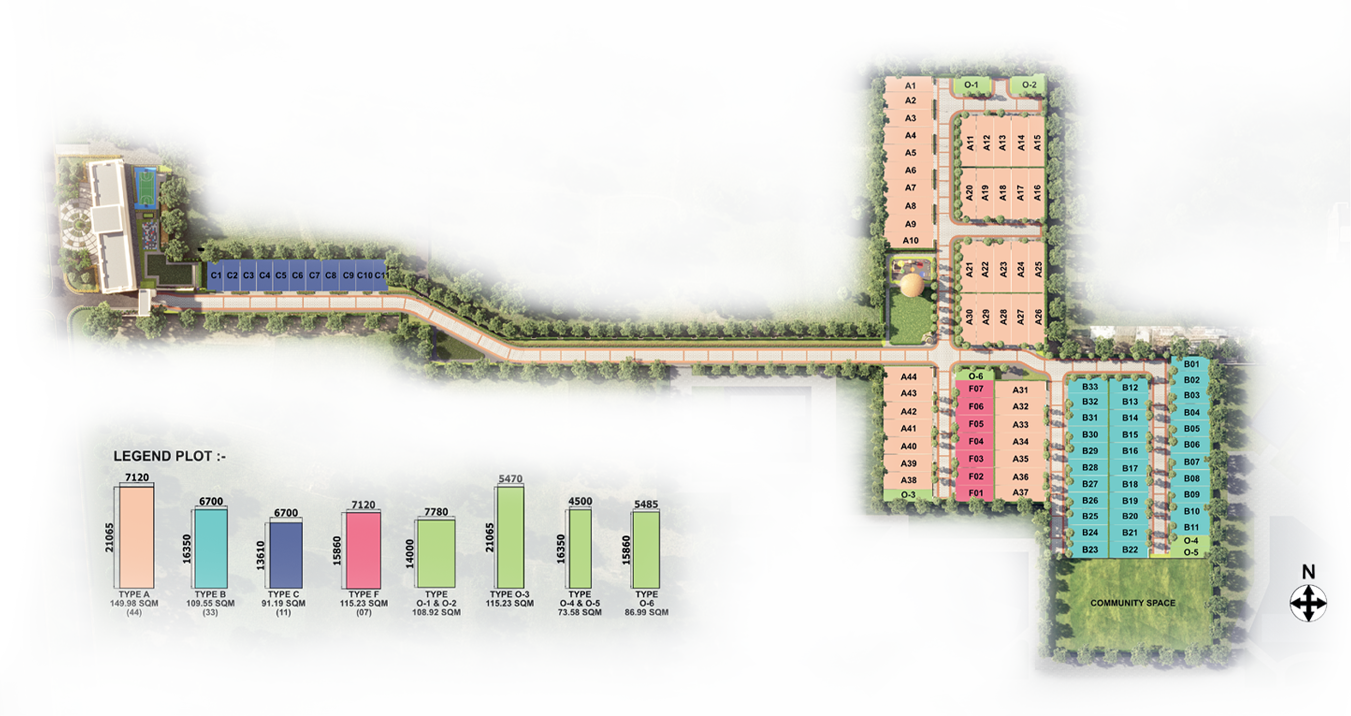 Paras Florett | Homepage